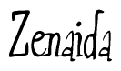 The image is of the word Zenaida stylized in a cursive script.