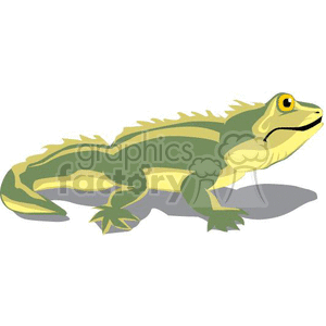 Clipart image of a colorful lizard with green and yellow markings, ideal for Mexican or Cinco de Mayo themes.