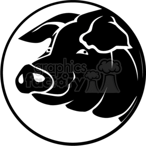 Black pig head