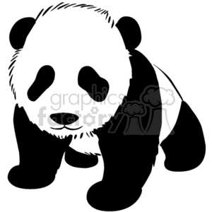 The clipart image depicts a stylized baby panda, which is black and white and appears to be in a cute, playful pose.