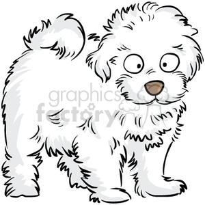 The clipart image shows a cartoon illustration of a small, cute puppy which appears to be a Maltipoo breed. The puppy is sitting with its head slightly tilted and has big eyes and floppy ears. The background is white and the image is in vector format, meaning it can be scaled up or down without losing quality.

