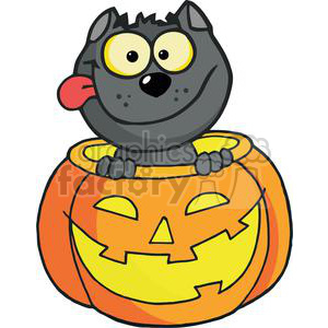 Happy Halloween Pumpkin with a Happy Black cat inside
