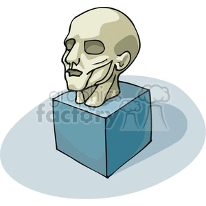 Cartoon head muscular structure 