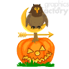 animated bird on a pumpkin