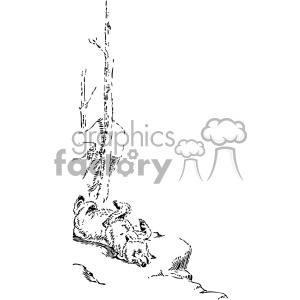 A black and white clipart image of a wolf lying on its back, seemingly playful or resting. The illustration is detailed with sketchy lines showing the natural surroundings, including rocks and a tree.
