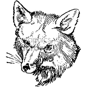 A detailed black and white clipart drawing of a fox's head, featuring intricate fur and facial details.