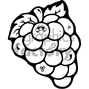 black and white grapes clipart