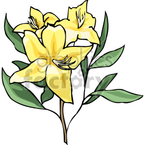 Illustration of a vibrant yellow flower with green leaves.