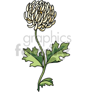 Clipart image of a yellow carnation flower with green leaves