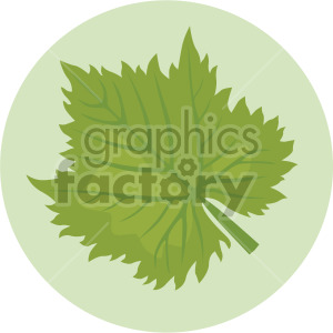 large leaf on green circle background