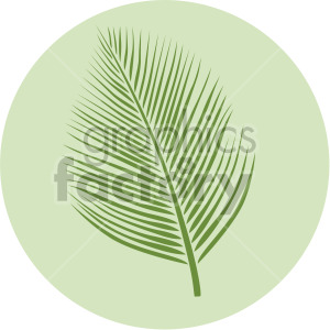 palm leaf on green circle background