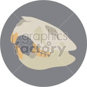 squirrel skull on circle background