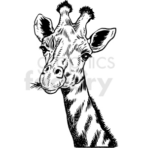 This is a black and white clipart image featuring a giraffe's head and neck. The giraffe is depicted with its signature long neck, ossicones (the horn-like structures atop its head), large ears, and patterned skin. The artistic style of the image is evocative of an ink drawing, making it suitable for applications such as a tattoo design, minimalist artwork, or to add a safari-themed aesthetic to various projects.
