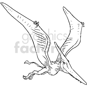   The image depicts a line art illustration of a pterodactyl, a type of flying reptile from the time of the dinosaurs. The pterodactyl has large wings, a long beak, and a distinctive head crest. 