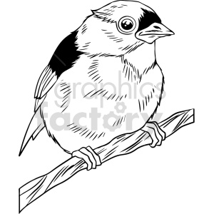 A black and white clipart image of a bird perched on a branch, featuring detailed outlines and markings.