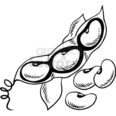 Black and white clipart illustration of a bean pod with beans inside and a few beans outside the pod.
