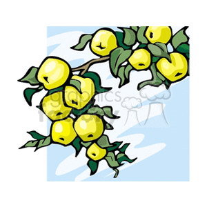 The clipart image features a branch of an apple tree with multiple yellow apples that could represent the 'Golden Delicious' variety. The background suggests a clear sky with stylized representations of light and shadow, emphasizing the fruit on the tree.