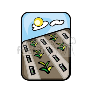 The image is a stylized illustration of a corn farm. It features rows of young corn plants with a sunny sky overhead, indicating a scene of agriculture or gardening. The rows of corn are organized neatly, with a clear path between them. The illustration uses simple shapes and colors to convey the concept of farming and food production in a countryside setting.