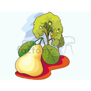 This clipart image features a stylized representation of a pear tree with lush green foliage and several visible pears hanging from its branches. In the foreground, there's a larger, detailed illustration of a pear with two green leaves, reflecting the focus of the image on the fruit itself. The pear in the foreground is cut in a way that shows its flesh, signifying that the fruit is ripe and edible. The image has a simplified style typical of clipart, using bold outlines and bright colors to make the elements stand out.