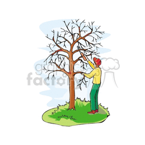The clipart image portrays a person trimming or pruning a leafless tree, which is suggestive of it being the fall season or the tree being dormant or dead. The person is using a cutting tool to clip the branches of the tree.