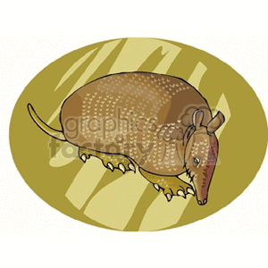 Armadillo Illustration - Desert Wildlife