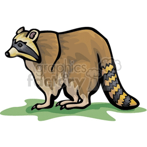 Cartoon Raccoon Image