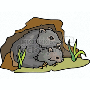 Mother Wombat with Babies in Cave