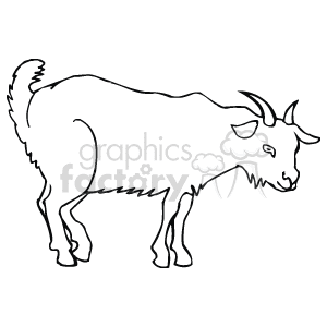 Black and white goat drawing
