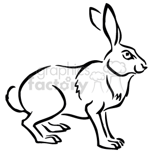 The line art drawing depicts a rabbit (or hare)