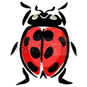 Red ladybug
