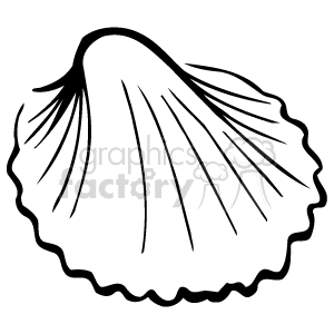 Scallop or clam shell black and white