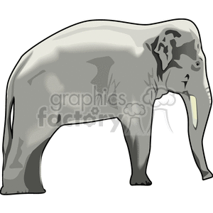 The clipart image features an elephant, which can be identified by its large body, trunk, and tusks.