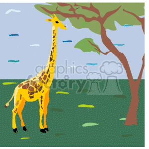giraffe giraffes animals tree trees Clip+Art Animals African tree plains jungle