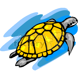 The clipart image shows a sea turtle swimming in water. Sea turtles are marine reptiles that are known for their slow movement and are classified as amphibians.
