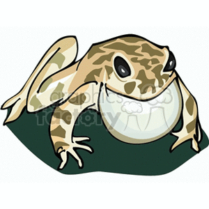 Large brown spotted frog