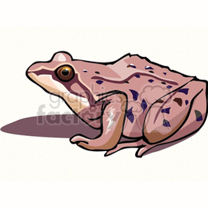The clipart image features a stylized illustration of a frog. The frog is shown in profile with detailed eyes and various shades and patterns on its skin that represent spots and markings typical of some frog species. The frog appears to be sitting on a flat surface with a slight shadow beneath it, indicating that it is not in the water at the moment.