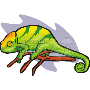 The image is a colorful clipart of a chameleon. This reptile is known for its vivid colors and ability to change its skin color. It has a curled tail and is shown with a side profile as it crawls along a surface.