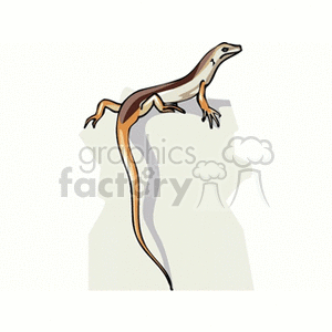 The image is a clipart of a lizard. It shows a stylized lizard with a prominent tail and distinct coloring.