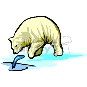 The clipart image depicts a polar bear standing on it three legs with its front left paw raised, ready to pounce on a fish jumping out of the water. The polar bear is white with black eyes, nose, and claws.
