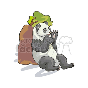 Panda resting against a rock
