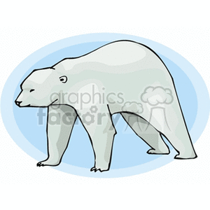 Profile of a polar bear