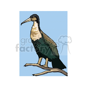 An illustrated clipart image of a bird perched on a branch against a light blue background.