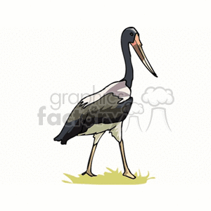 A colorful clipart image of a bird, specifically a stork or heron, standing on grass.