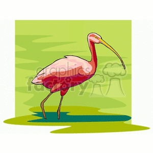 A colorful clipart image of a bird with long legs and a long, curved beak standing in a wetland environment.
