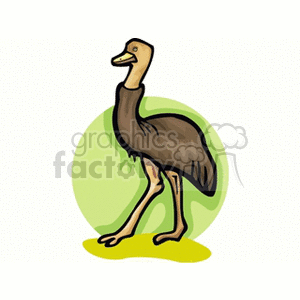 A clipart image of a cartoon ostrich standing on a patch of yellow ground with a green circle background.