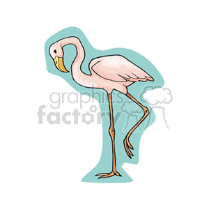   Pink flamingo against a teal background 