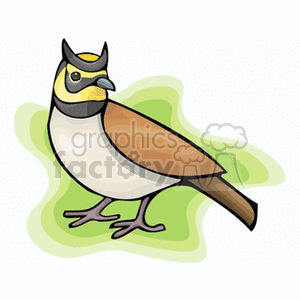 Clipart image of a colorful bird standing on a green patch with a black crest on its head, yellow face, and brown and white body.