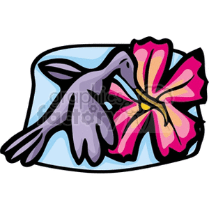 Colorful clipart of a purple hummingbird feeding from a large pink flower.