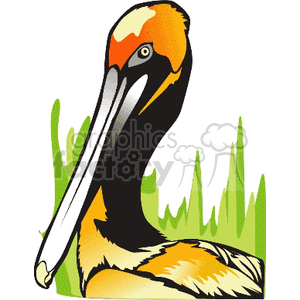 A colorful clipart image of a pelican with a long beak in front of green grass.