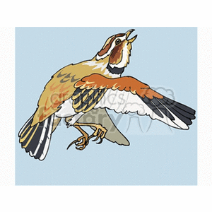 A vibrant clipart of a bird in flight with detailed wing and tail feather patterns.
